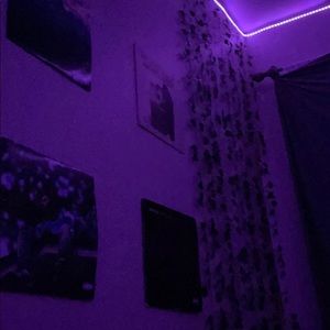 Meet your Posher, Trinity